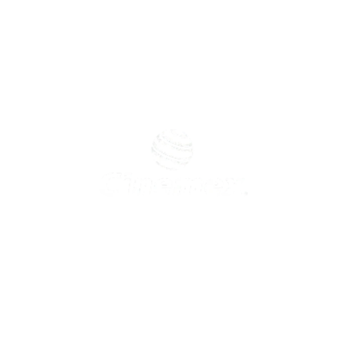 PARTNERS ECCO BENEFIT